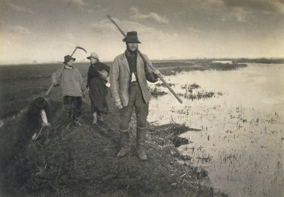 Schneiden des Gladdon, Leben und Landschaft auf den Norfolk Broads, ca. 1886 von Peter Emerson und Thomas Goodall